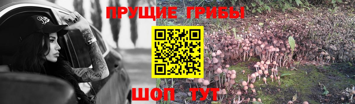 Ефремов  Псилоцибиновые грибы мухоморы  Галлюциногенные грибы Psilocybe  Вход с VPN 